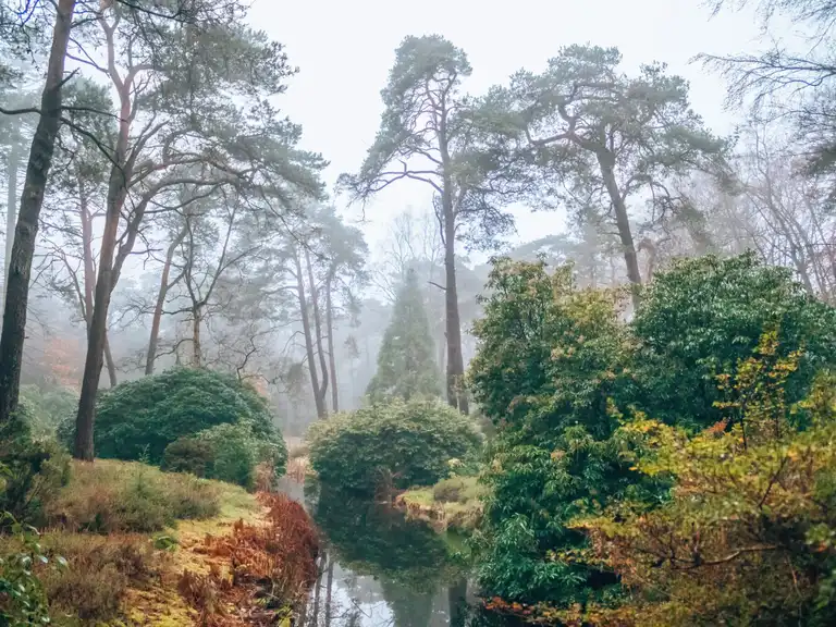 Heidetuin Driebergen