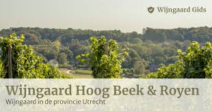 Wijngaard Zeist