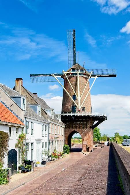 Molen Rijn en Lek